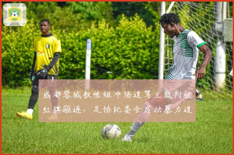 成都蓉城教练组冲场追骂主裁判被红牌驱逐，足协纪委会启动暴力追罚程序